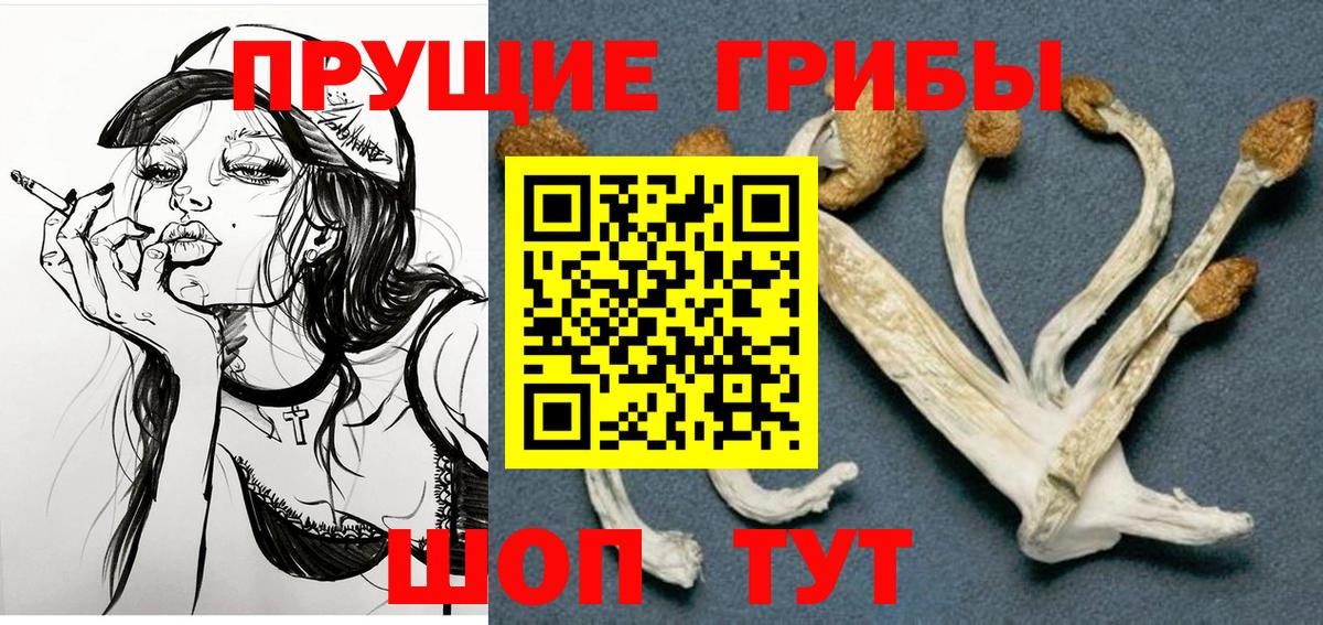 Псилоцибиновые грибы Psilocybe  Вход с VPN  Псилоцибиновые грибы GOLDEN TEACHER  дарнет шоп  Альметьевск 